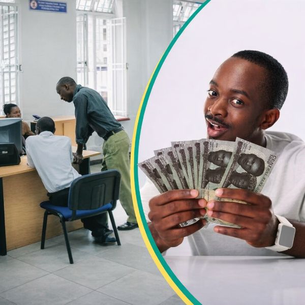 Loan Management Systems